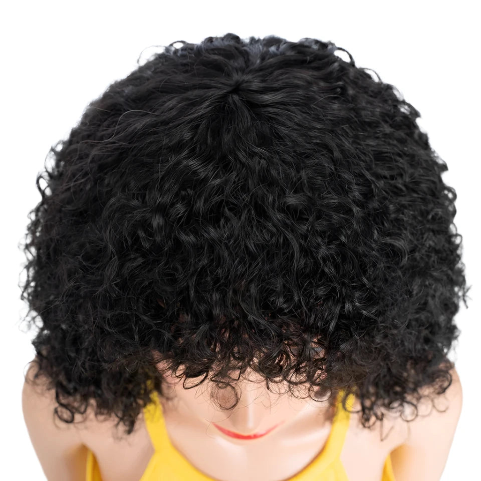 Curly Human Hair Wig