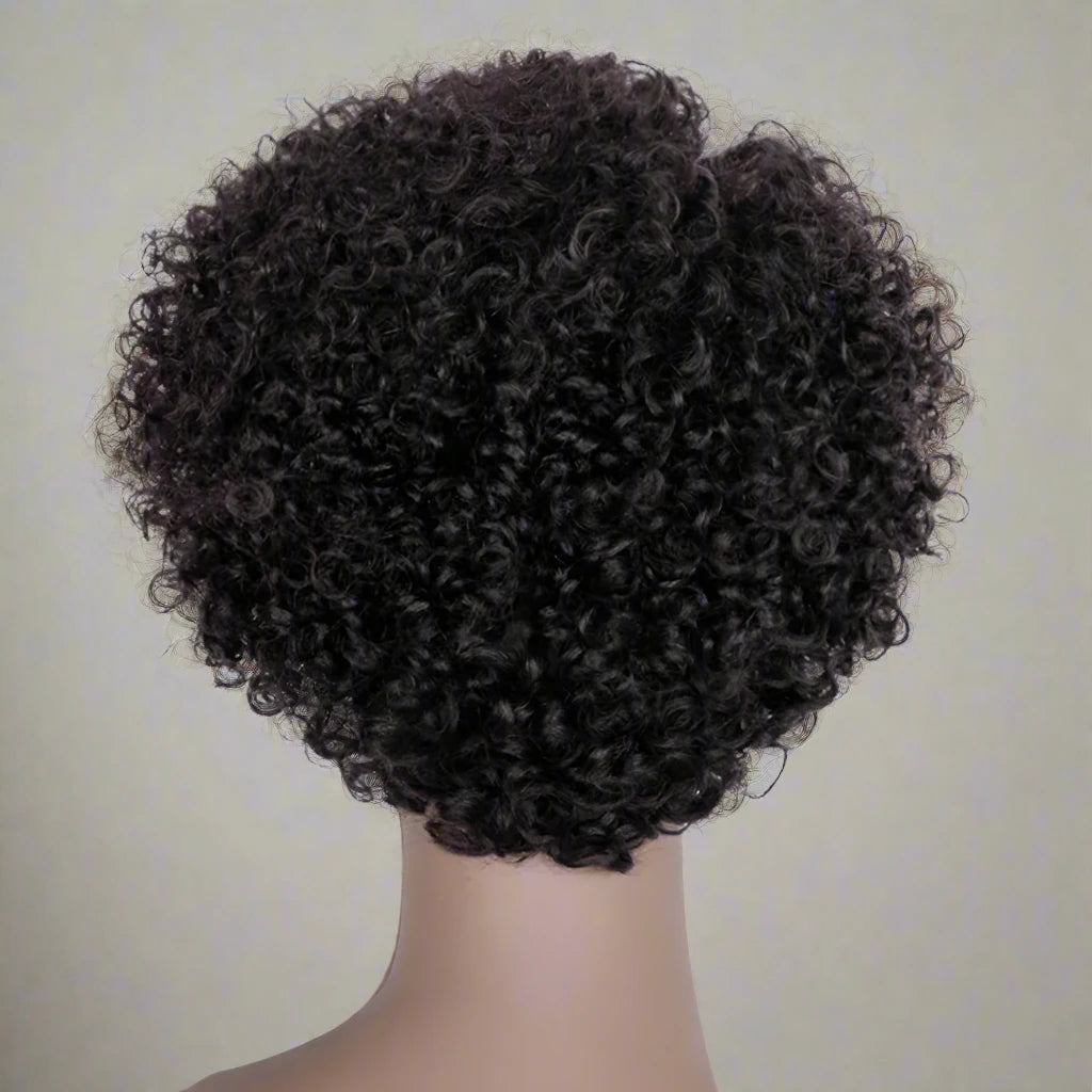 Pixie Cut Afro Kinky Curly Human Hair Wigs