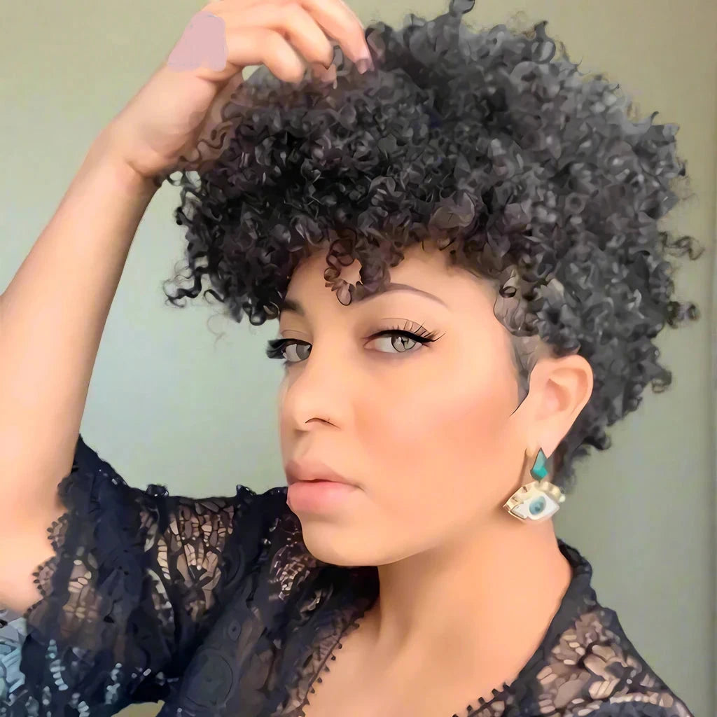Afro Kinky Curly Human Hair Wigs