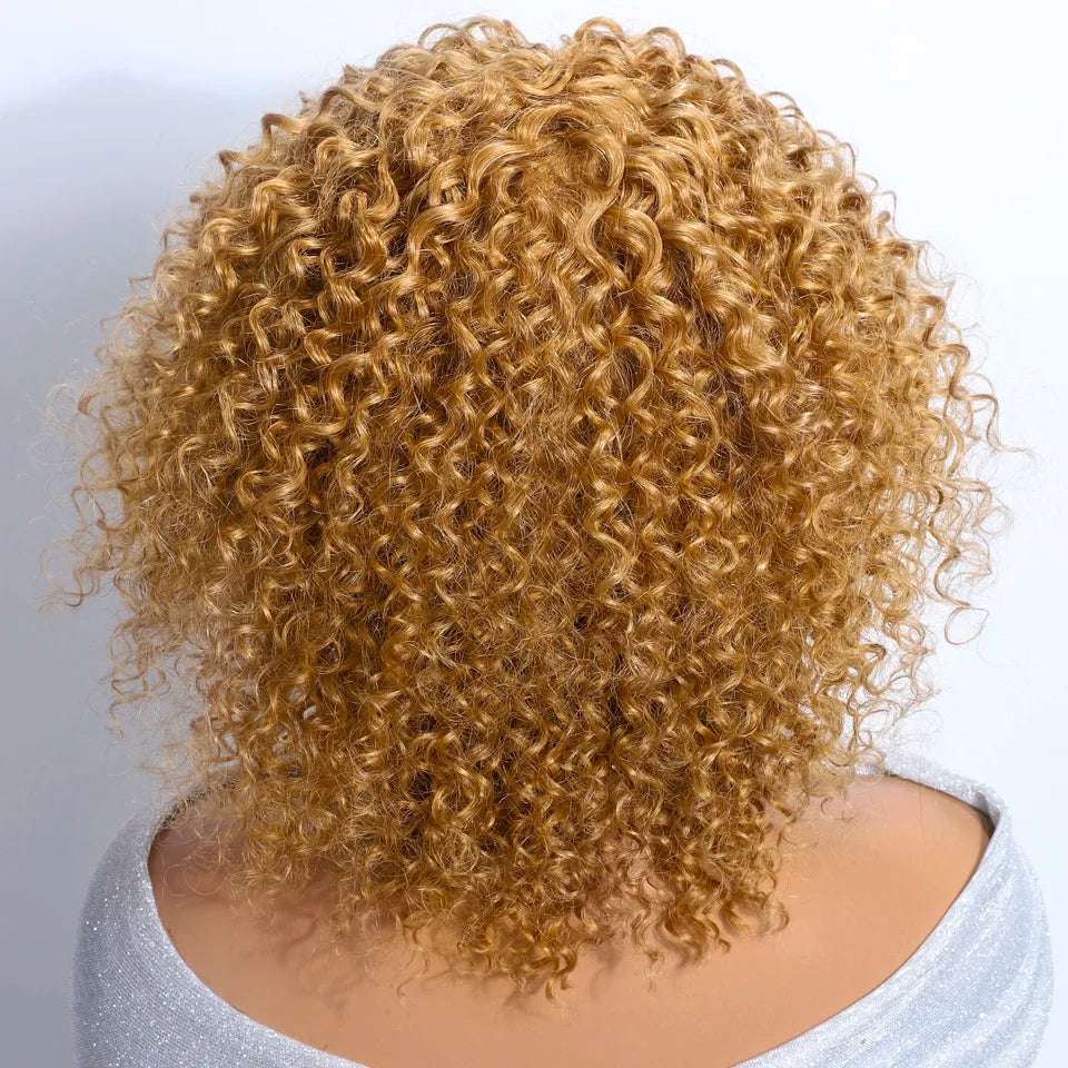 Afro Kinky Curly Bob Human Hair Wig