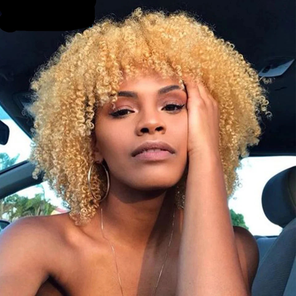 Blonde Afro Kinky Curly Human Hair Wig