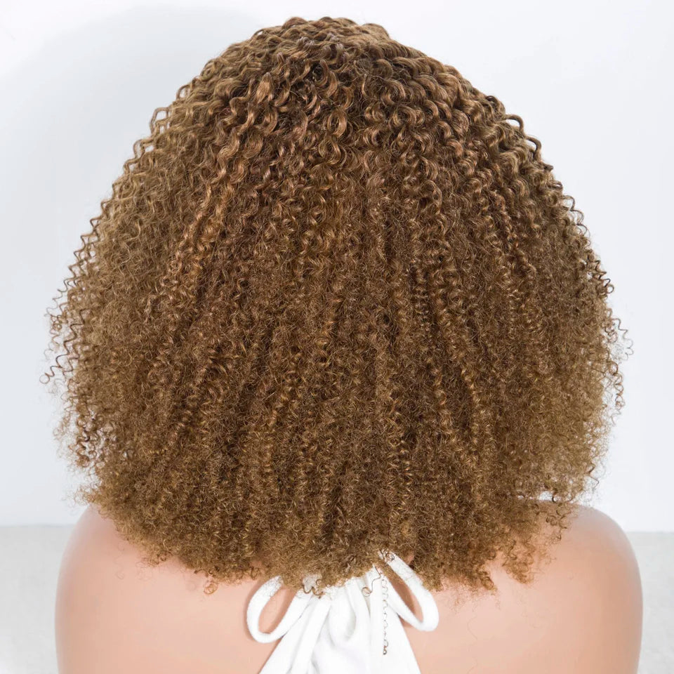 Kinky Curly Lace Human Hair Wig