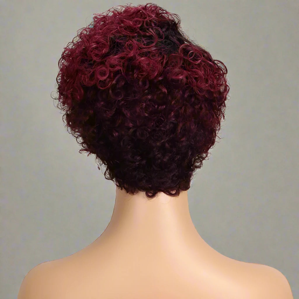 Kinky Curly Lace Front Human Hair Wig