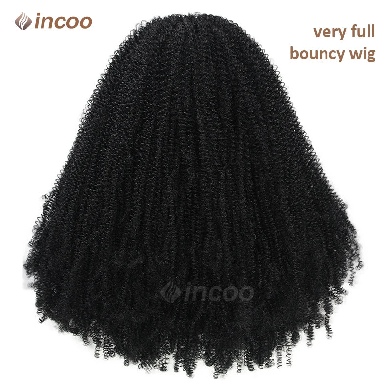 Full Lace Front Synthetic Braided Wigs