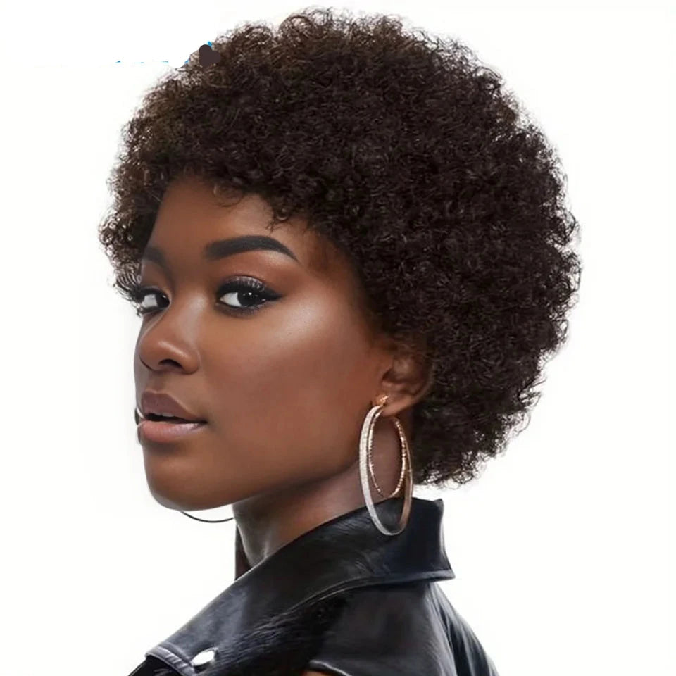 Afro Kinky Curly Hair Wigs