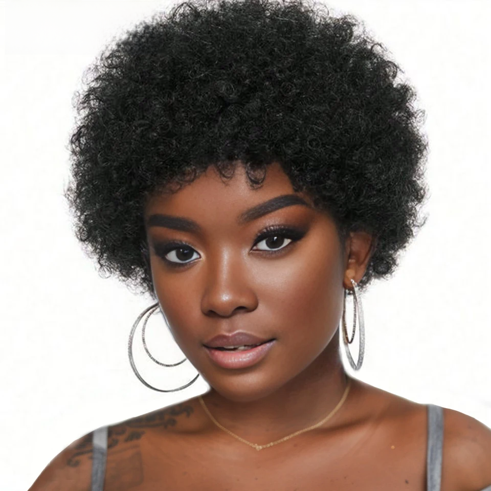 Afro Kinky Curly Hair Wigs