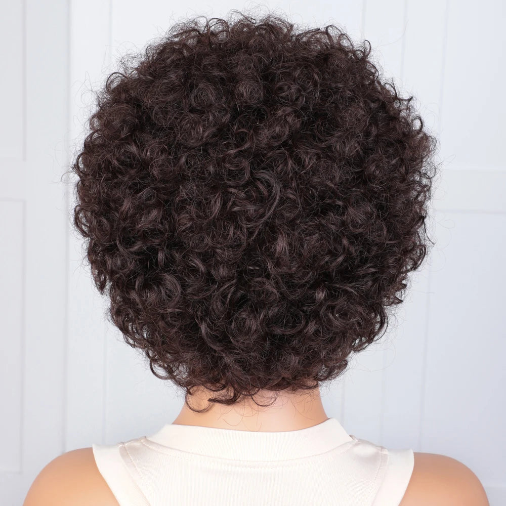 Afro Kinky Curly Hair Wigs