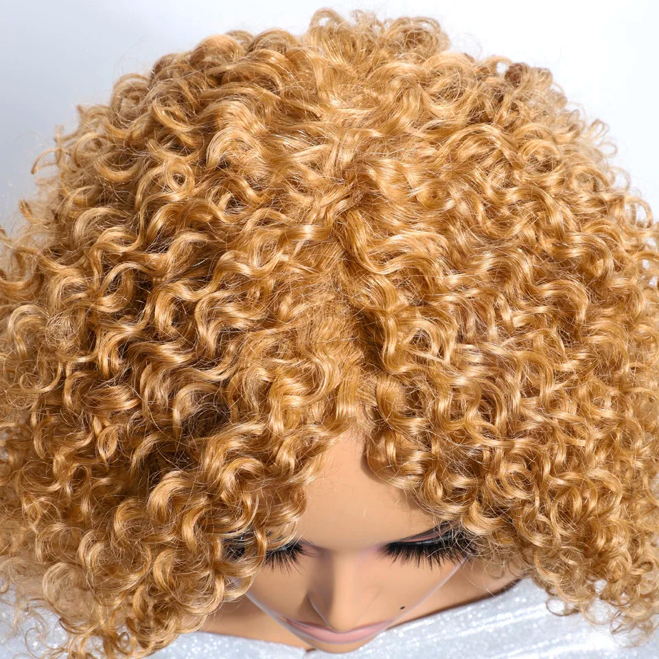 Afro Kinky Curly Bob Human Hair Wig