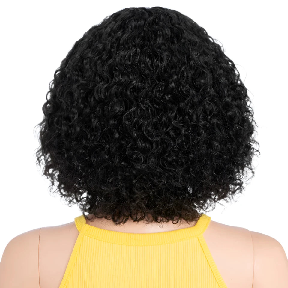 Curly Human Hair Wig